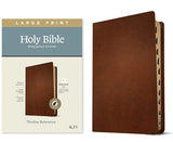 KJV Large Print Thinline Reference Bible Filament Enabled Edition