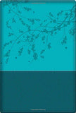 A Woman After God's Own Heart Bible