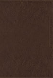 Biblia NVI Palabra de Aliento de Max Lucado - NVI Lucado Encouraging Word Bible