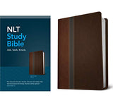 NLT Study Bible