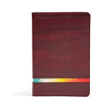 NIV Rainbow Study Bible
