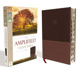 The Amplified Study Bible