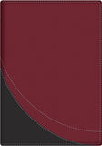 La Biblia en orden cronologico RVR 1960- The Daily Bible RVR 1960