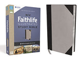 NIV Faithlife Illustrated Study Bible Leathersoft Gray/Black: Biblical Insights You Can See