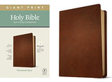NLT Personal Size Giant Print Holy Bible, Filament Enabled Edition
