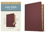 KJV Giant Print Personal Size Bible Filament Enabled Edition