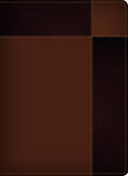 Biblia de estudio Ryrie ampliada RVR 1960 - The Ryrie Study Bible