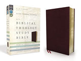 NIV Biblical Theology Study Bible Comfort Print
