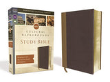 NRSV Cultural Backgrounds Study Bible: Bringing to Life the Ancient World of Scripture