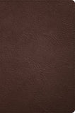 CSB Large Print Thinline Bible