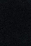 RVR60 Large Print Ultrathin Bible