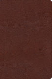 CSB Large Print Thinline Bible