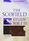 KJV The Scofield Study Bible III