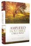 Amplified Holy Bible: Captures the Full Meaning Behind the Original Greek and Hebrew