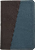 The Message Compact Python (Leather-Look Brown/Teal): The Bible in Contemporary Language