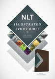 NLT Illustrated Study Bible
