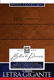 Santa Biblia de Promesas Reina Valera 1960