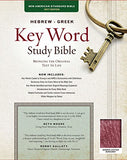 NIV Couples' Devotional Bible