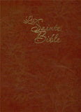 Louis Segond Large Print French Bible bonded leather