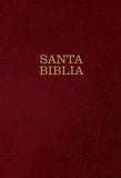 Santa Biblia NTV letra súper gigante (Spanish Edition)